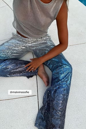 Silver Transparent Net Top