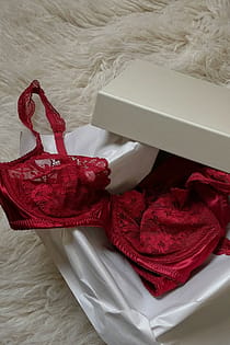 Lace Cup Scallop Strap Satin Bra