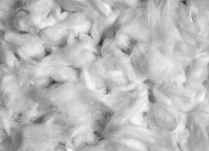 Cotton