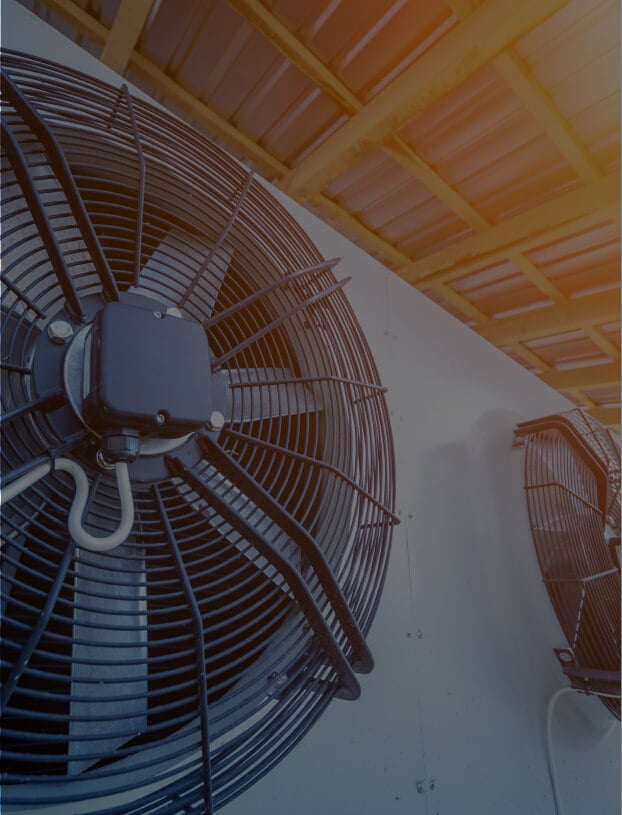 Fans in warehouse