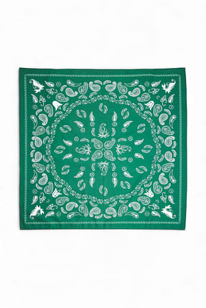 Green Paisley-Schal aus Baumwolle