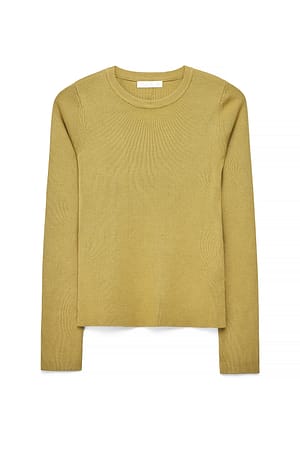 Light Green Ribbed Knitted Round Neck Top