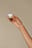 Lip Scrub