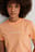 Organic Shrunken Institutional Tee