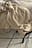 Cotton Gauze Throw