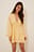 Deep V-neck Mini Dress