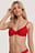 Basic Bikini Cup Bra