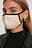 Basic Mask Chain