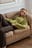 Strickpullover mit Zopfmuster