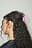 Shiny Oval Hair Claw