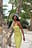 Bodycon-Strickkleid mit asymmetrischem Ausschnitt