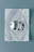Boucles d'oreilles fantaisie