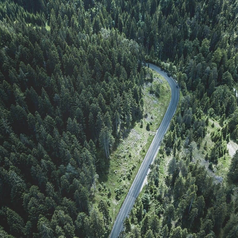 Aerial shot of forest and road